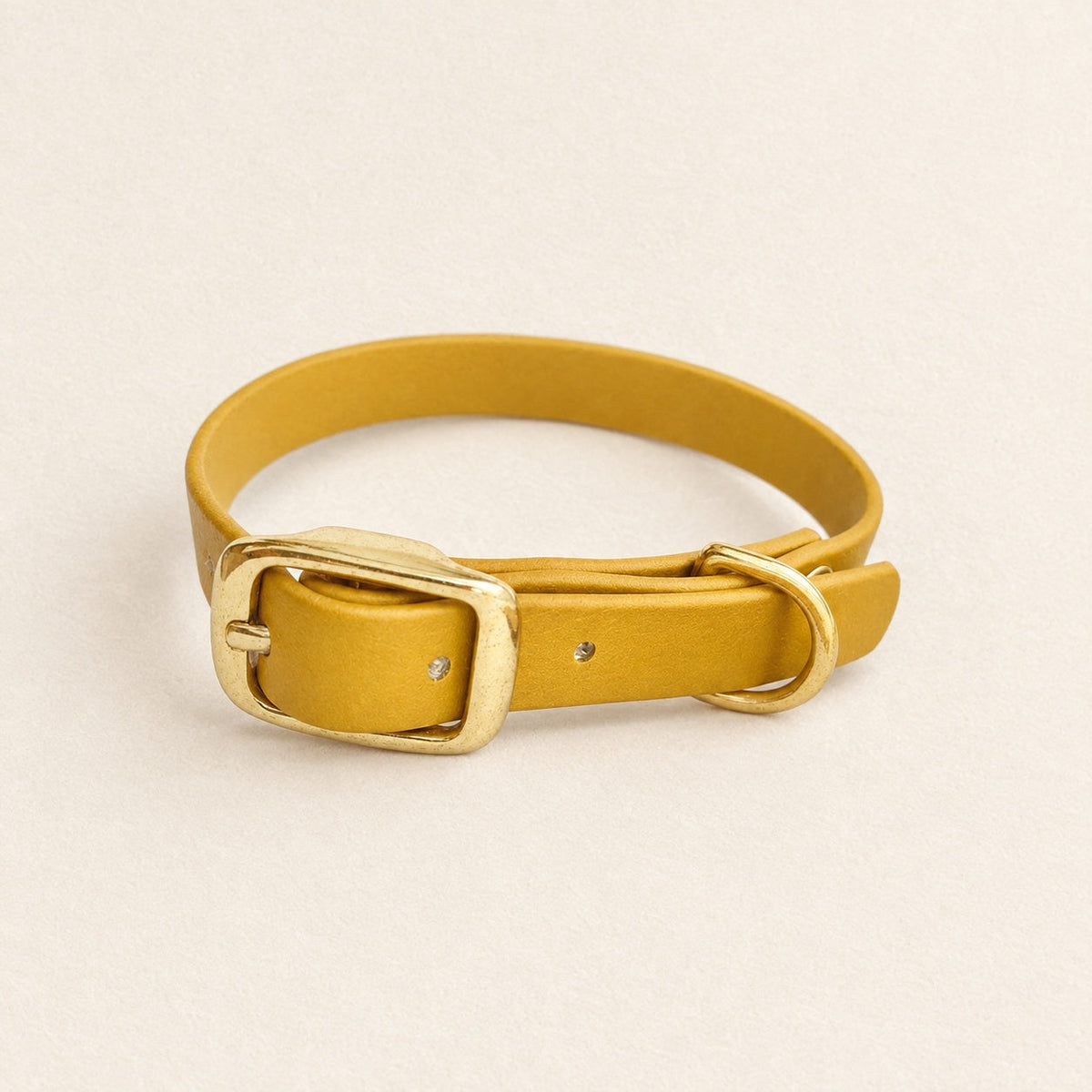 Collier en cuir sur fond crème studio