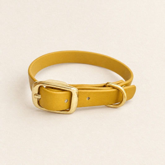 Collier en cuir sur fond crème studio